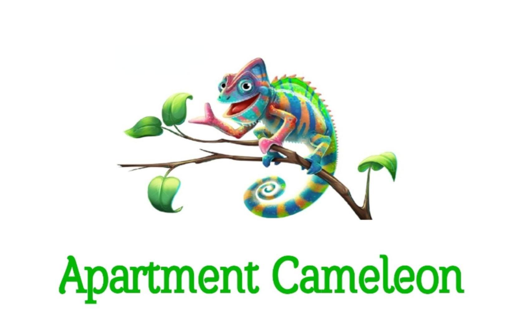 Apartment Cameleon Dubrovnik Exteriör bild